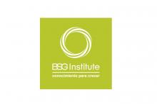 BSG Institute