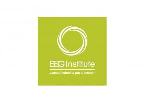 BSG Institute